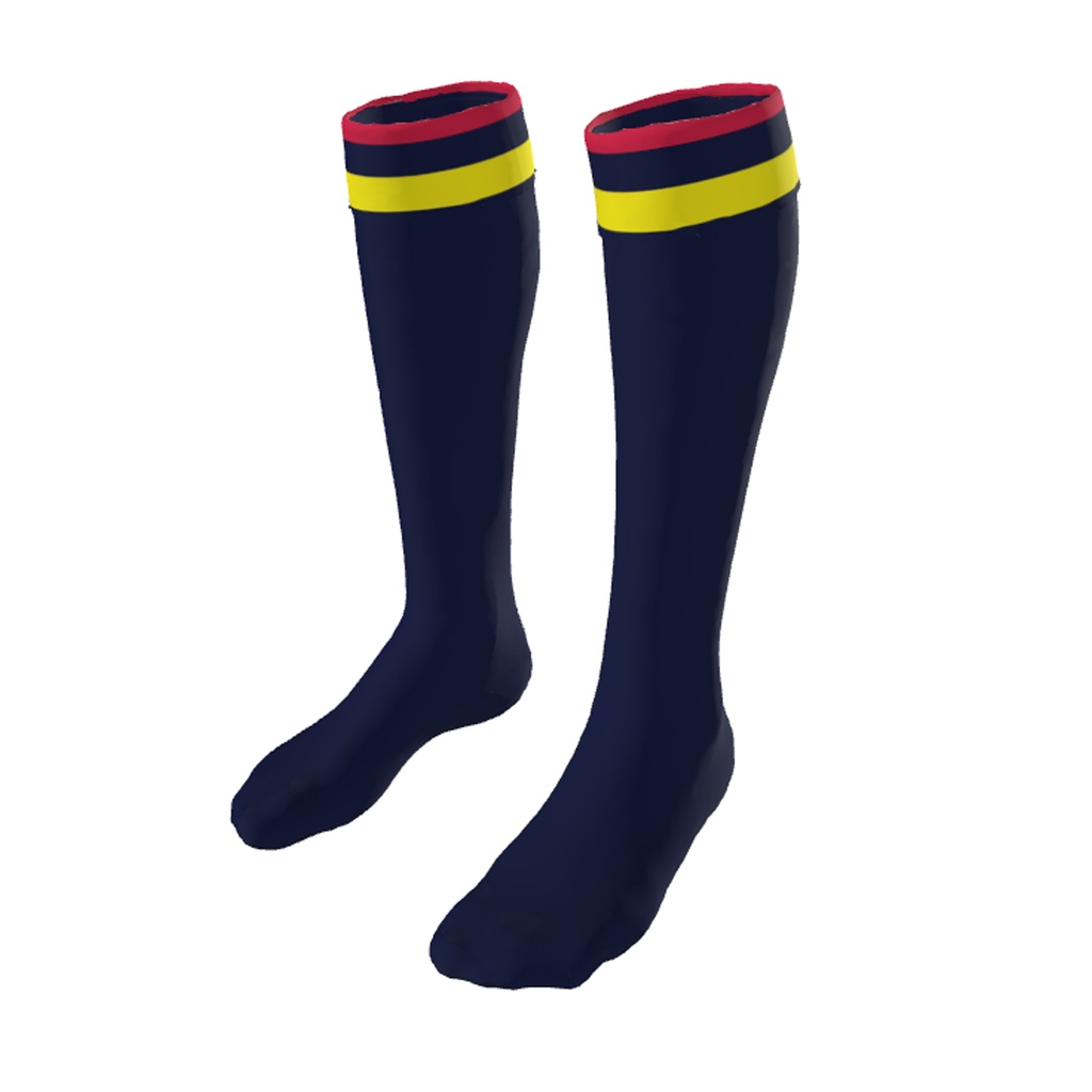 PlaceMakers Teamwear Playing Socks