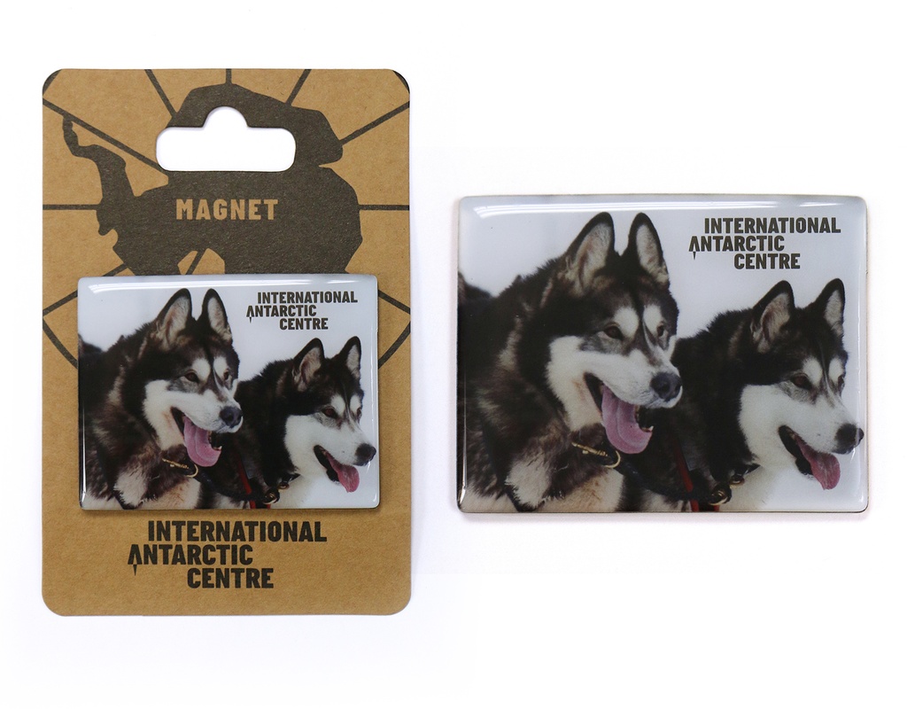 IAC Fridge Magnets - Husky - -                              